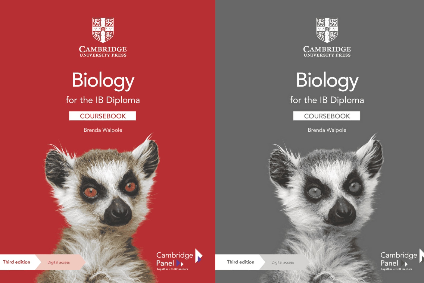 IB Student Coursebook Card image