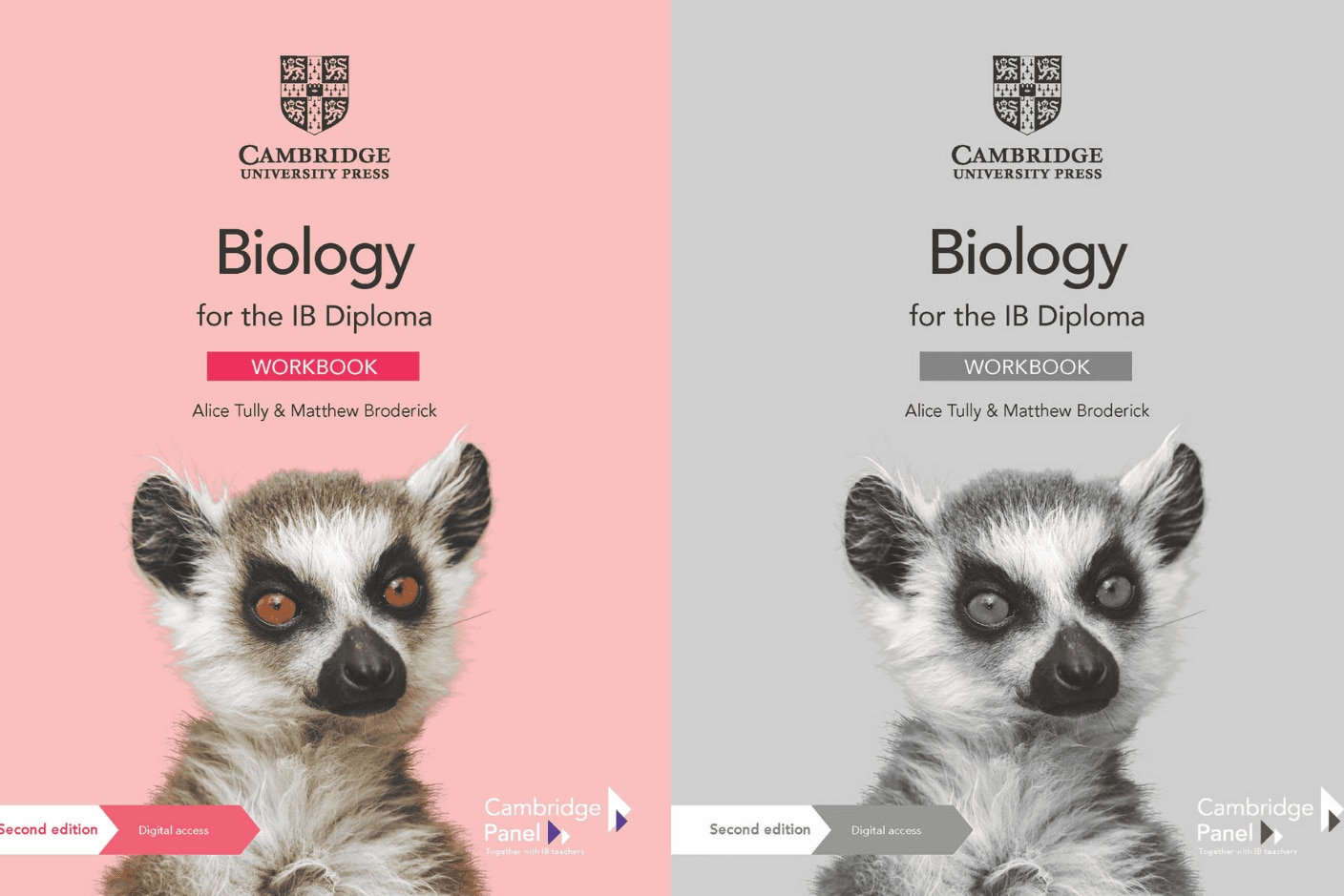 IB Student Workbook Card image