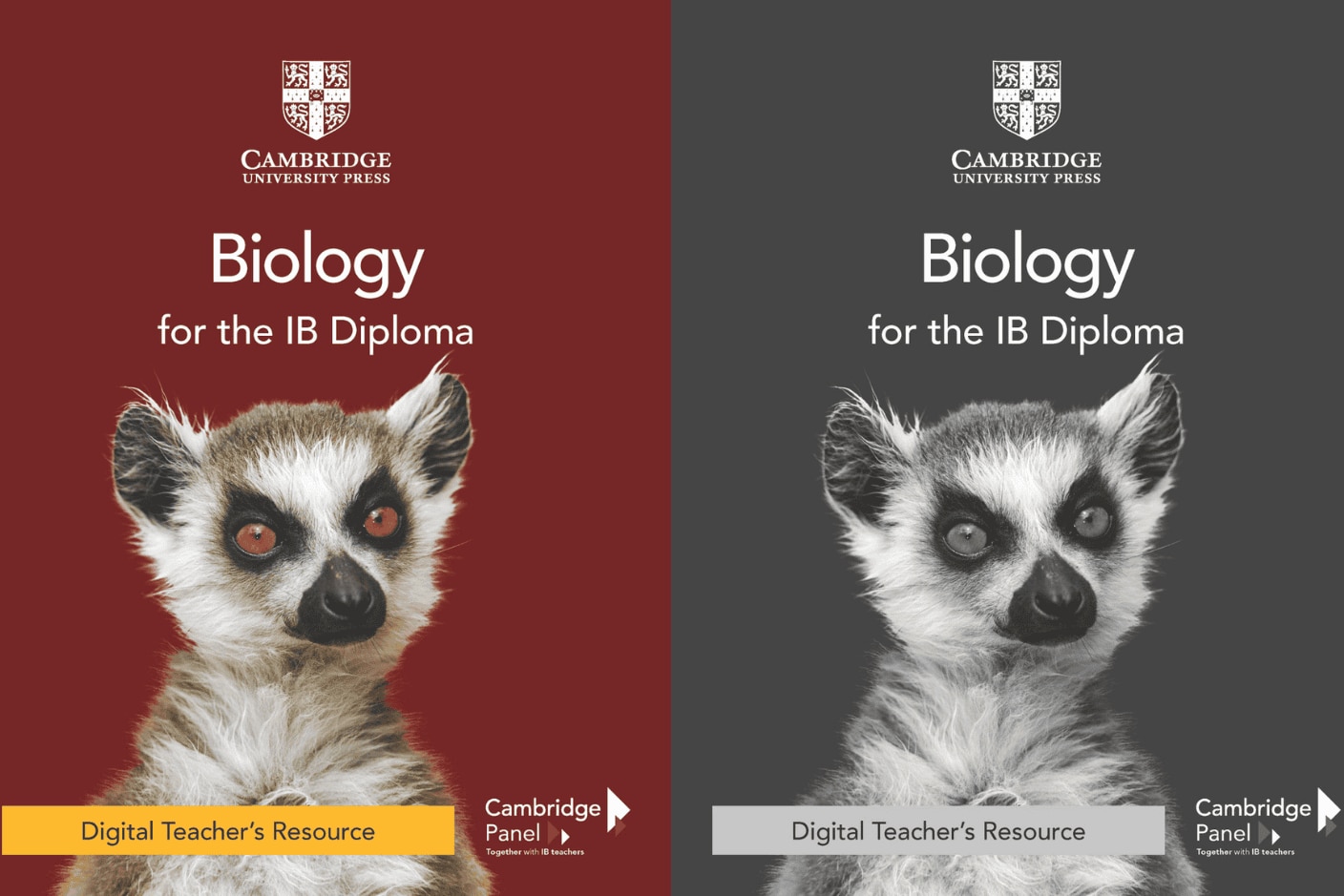 IB Teacher's Resources Card image